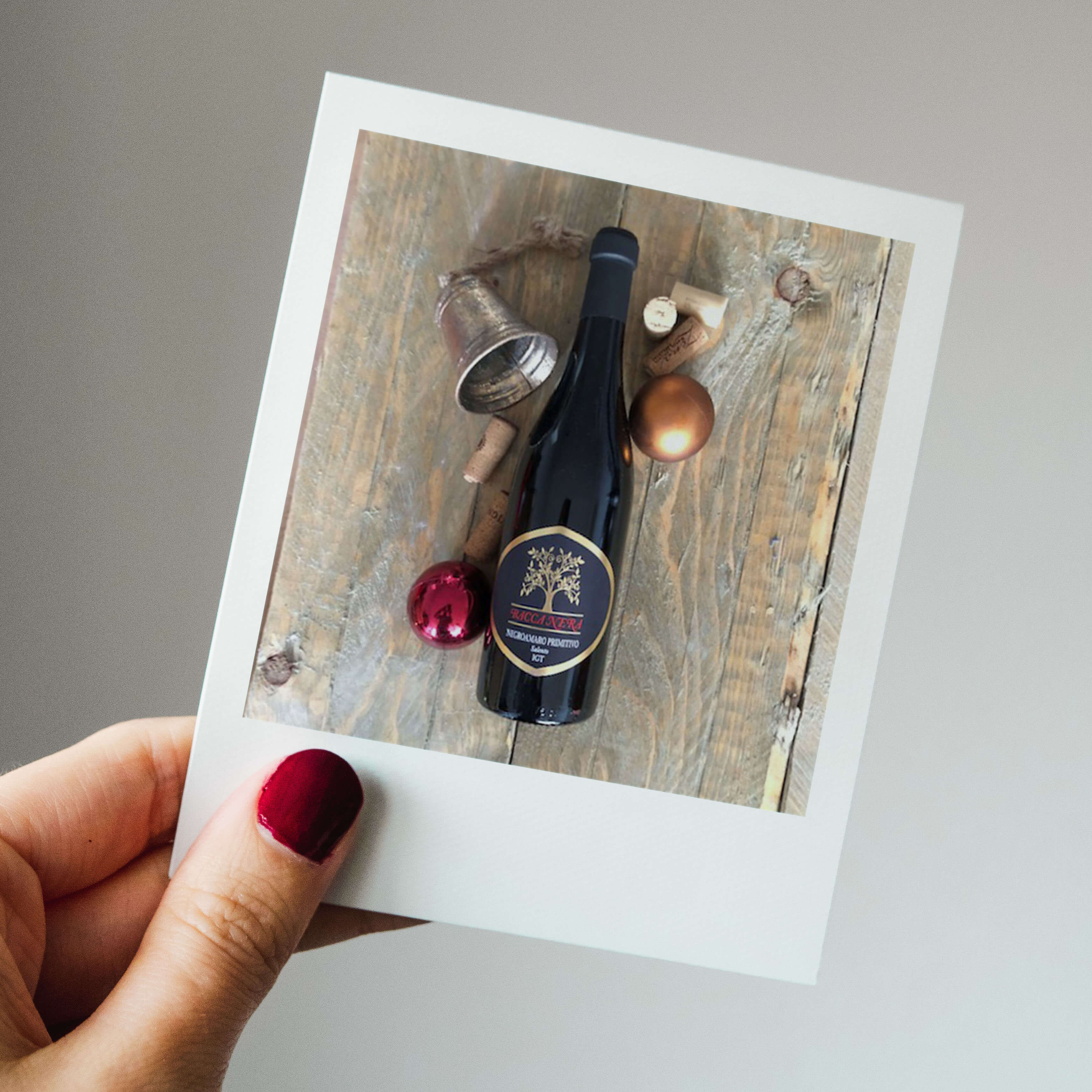 Bacca Nera Primitivo Negroamaro Salento