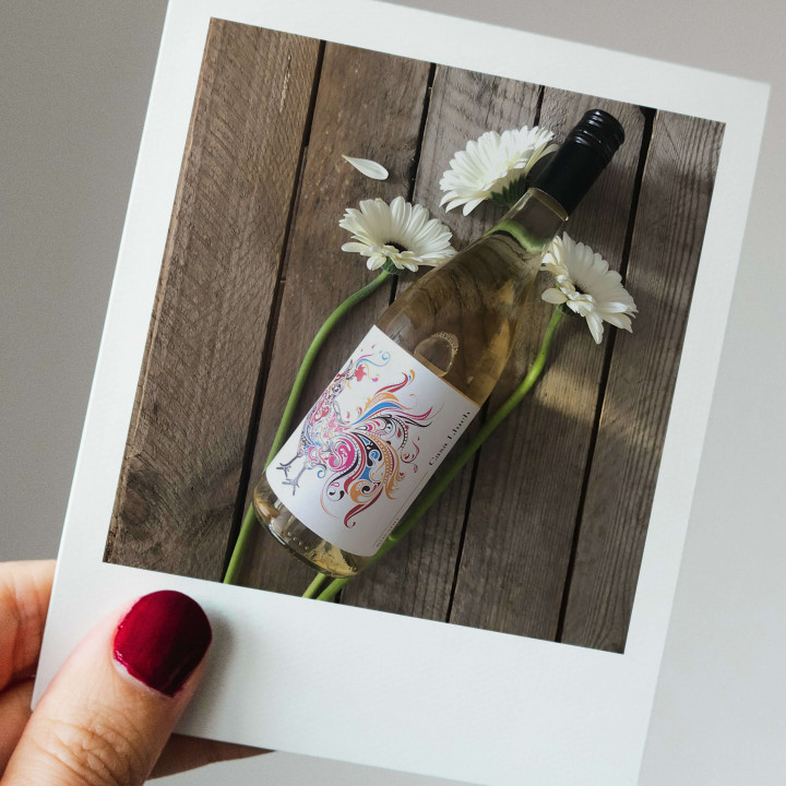 Bodegas Enquera Casa Lluch Rosado