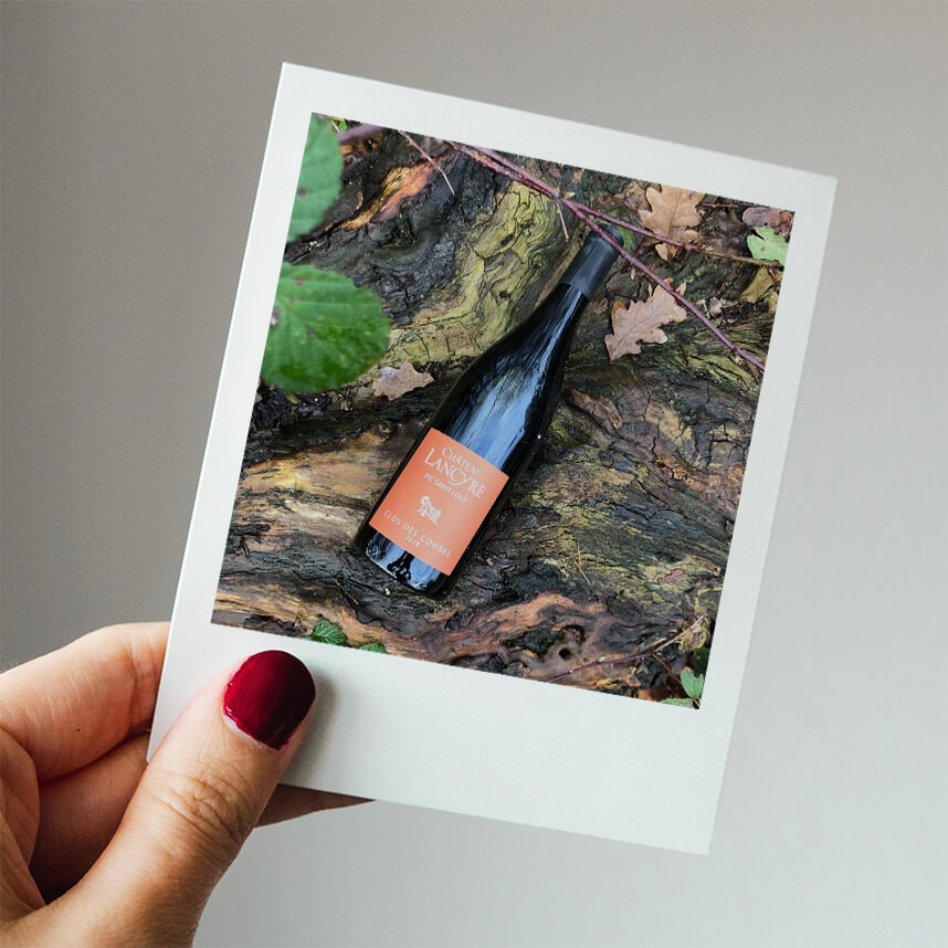 Clos des Combes Rouge, Chateau Lancyre