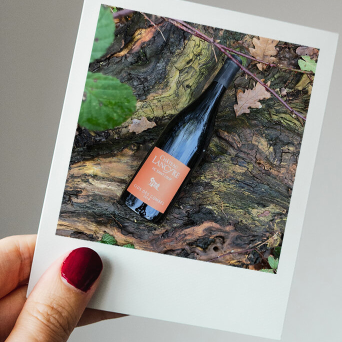 Clos des Combes Rouge, Chateau Lancyre