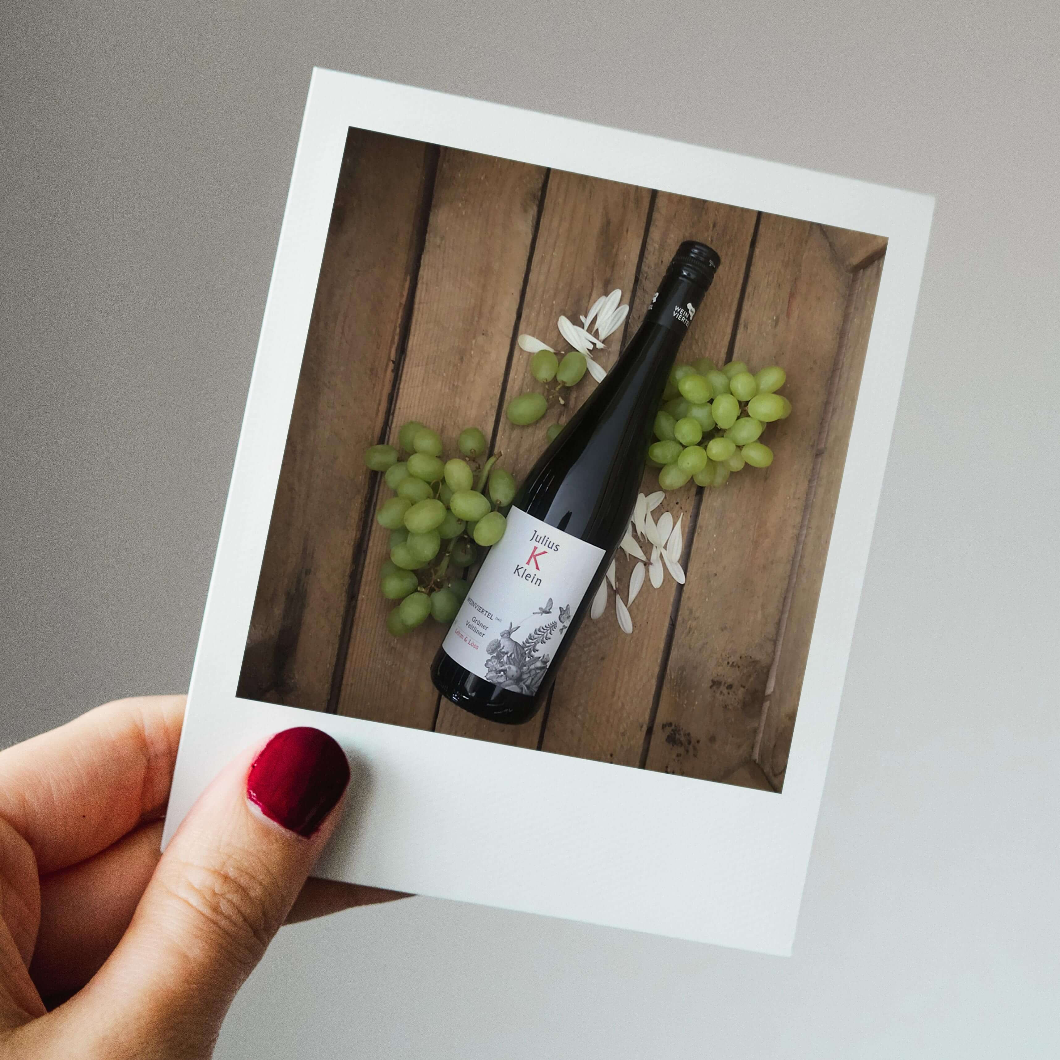 Julius Klein - Gruner Veltliner Lehm und loss