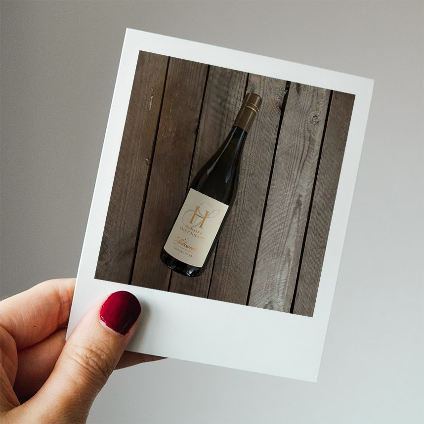 Chardonnay Advocate, Domaine Hilaire