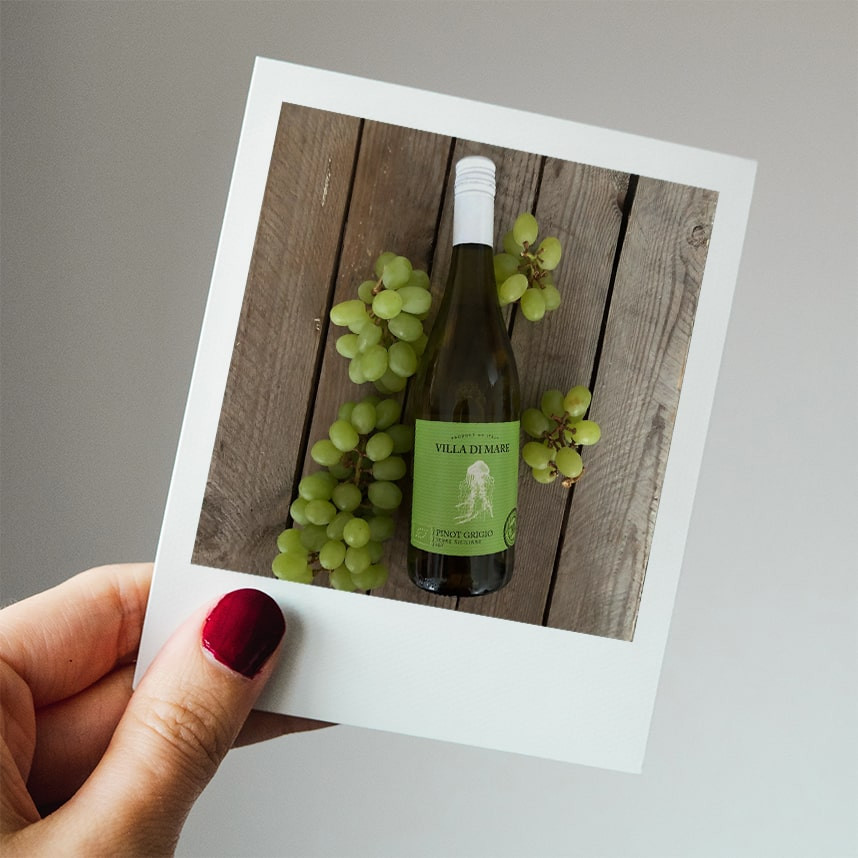 Villa di Mare Pinot Grigio MGM