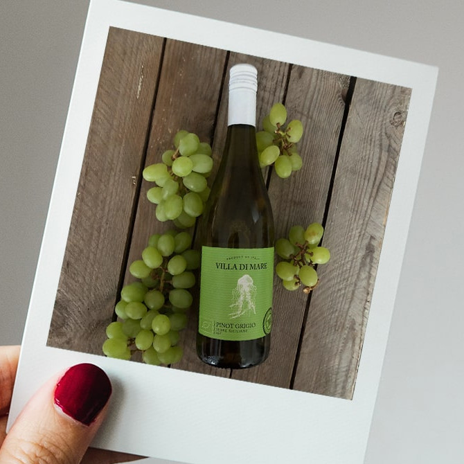 Villa di Mare Pinot Grigio MGM