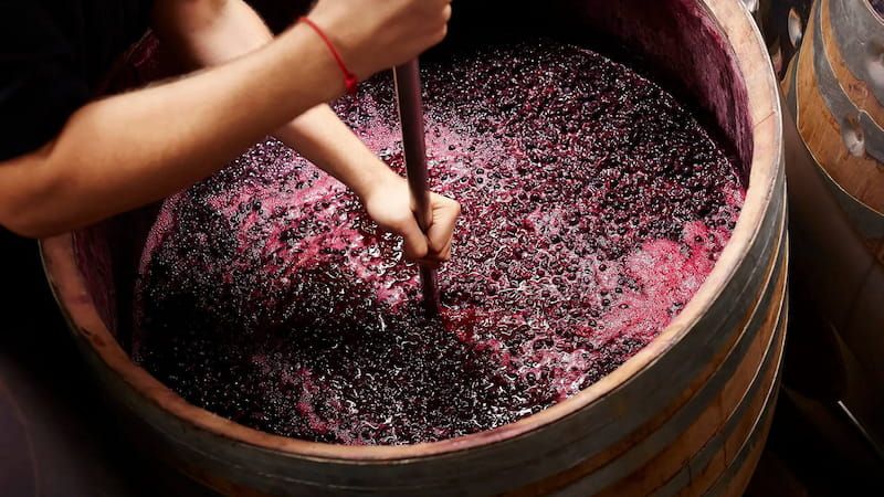 Hoe wordt rode wijn gemaakt?